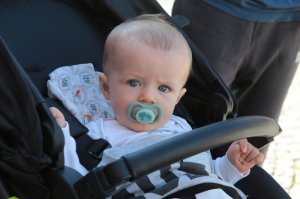 008.jpg