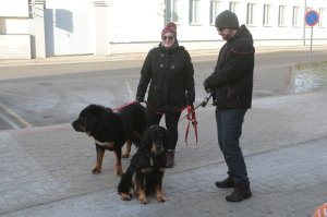 Novoroční čtyřlístek 2025